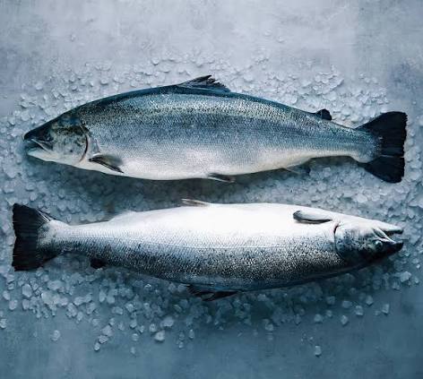 سالمون 